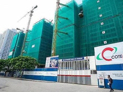 Coteccons (CTD) dự chi 74,7 tỷ đồng để trả cổ tức năm 2020.