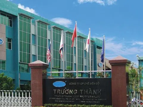 Lỗ lũy kế hơn 3.000 tỷ đồng dẫn đến âm vốn chủ sở hữu, Gỗ Trường Thành (TTF) có nguy cơ hủy niêm yết