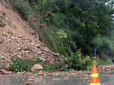 Thương mại Hoàng Sơn trúng gói thầu hơn 338 tỷ đồng tại Hòa Bình