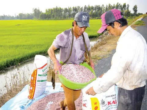 Giá phân bón có xu hướng tăng mạnh trong năm sau?