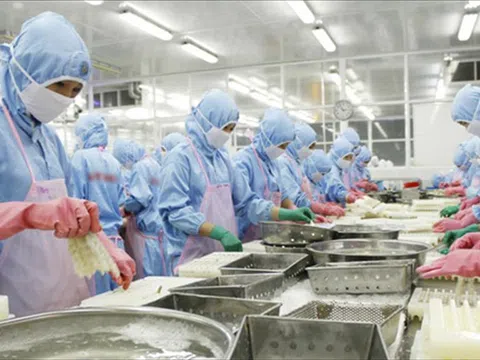 Vượt lên khó khăn, ngành thủy sản phục hồi mạnh mẽ những tháng cuối năm