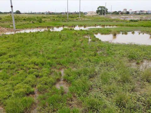 Chậm tiến độ, Hà Nội kiến nghị thu hồi 29 dự án vi phạm luật đất đai