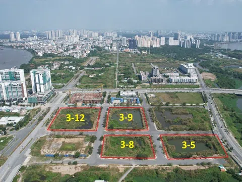 Tân Hoàng Minh và những lần trúng thầu đất giá cao rồi bỏ cọc