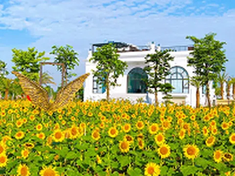 Thị trường bất động sản vẫn sôi động vào tháng ngâu