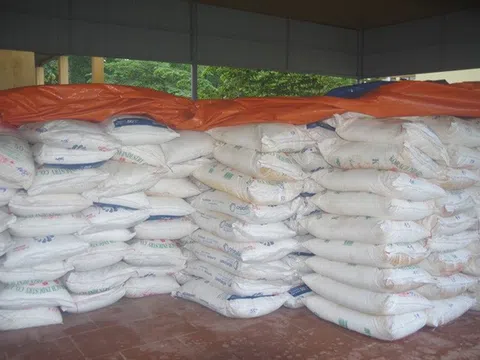 Nguyên nhân khiến vấn nạn nhập lậu đường cát tăng mạnh