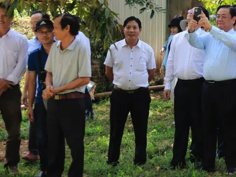 Đắk Lắk xuất khẩu hơn 100 tấn sầu riêng sang Trung Quốc theo đường chính ngạch