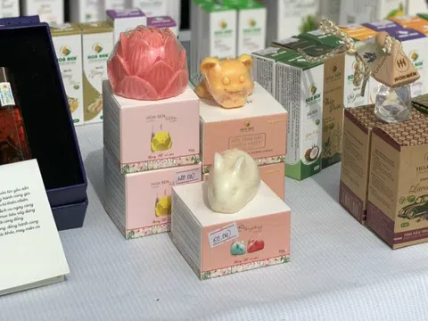 Tinh dầu tràm Huế: Thương hiệu vang bóng tìm đường ‘xuất ngoại’